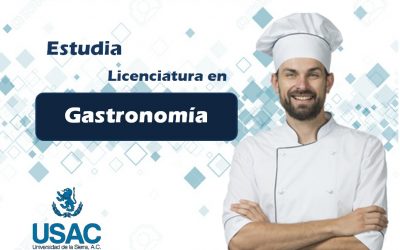 Licenciatura en Gastronomía